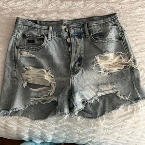American Eagle Festival Ripped Shorts